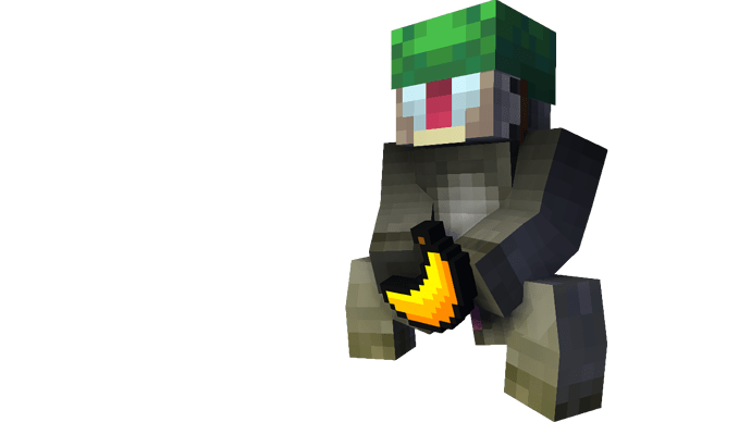 iiRaidZ%20render