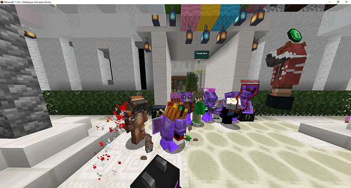 Minecraft_ 1.16.3 - Multiplayer (3rd-party Server) 02_11_2020 21_20_08