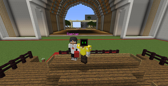 Screenie with Sapnap