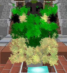 frog_cape