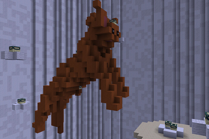 photo5