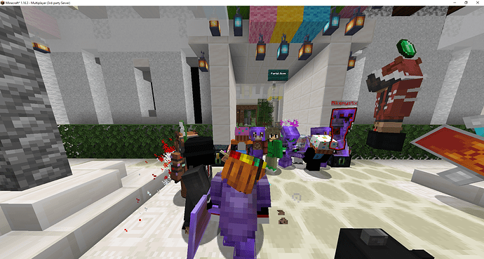 Minecraft_ 1.16.3 - Multiplayer (3rd-party Server) 02_11_2020 21_20_08 (1)