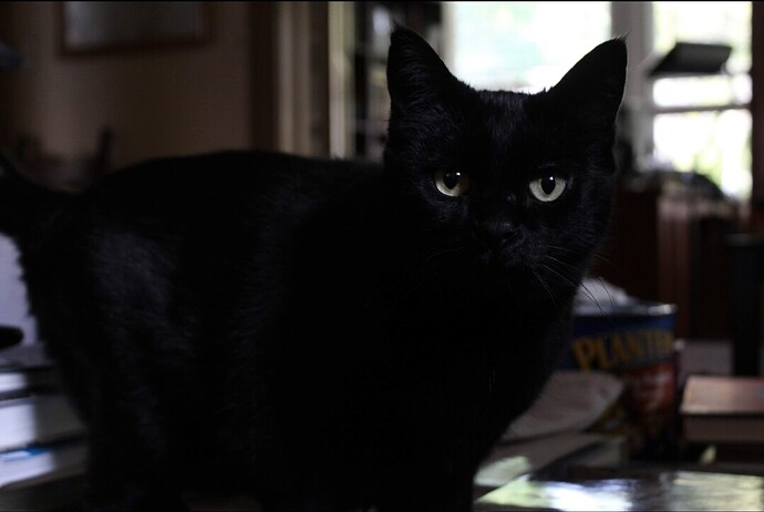 SmartSelect_20201209-200037_Photos