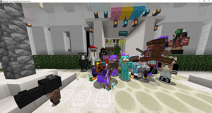 Minecraft_ 1.16.3 - Multiplayer (3rd-party Server) 02_11_2020 21_20_19