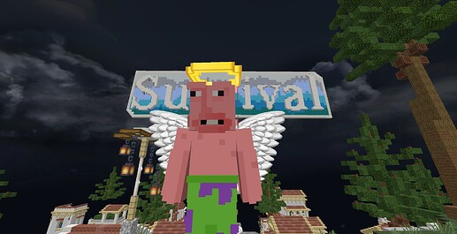 2021-06-03_20.44.03 (1)