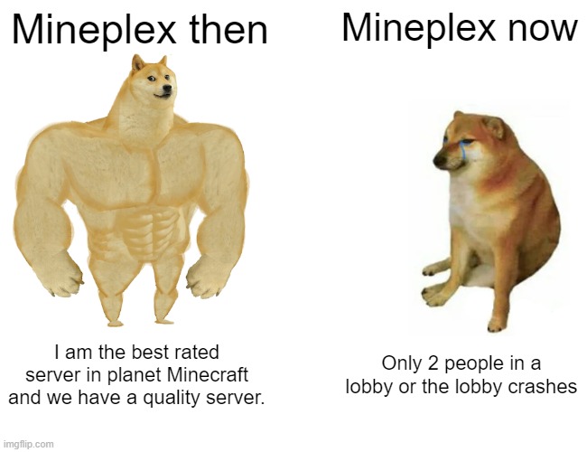 mineplex meme