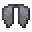 elytra