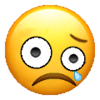 :sadrere: