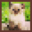 pixil-frame-0 (1) (1)