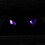 Mr_Spooky